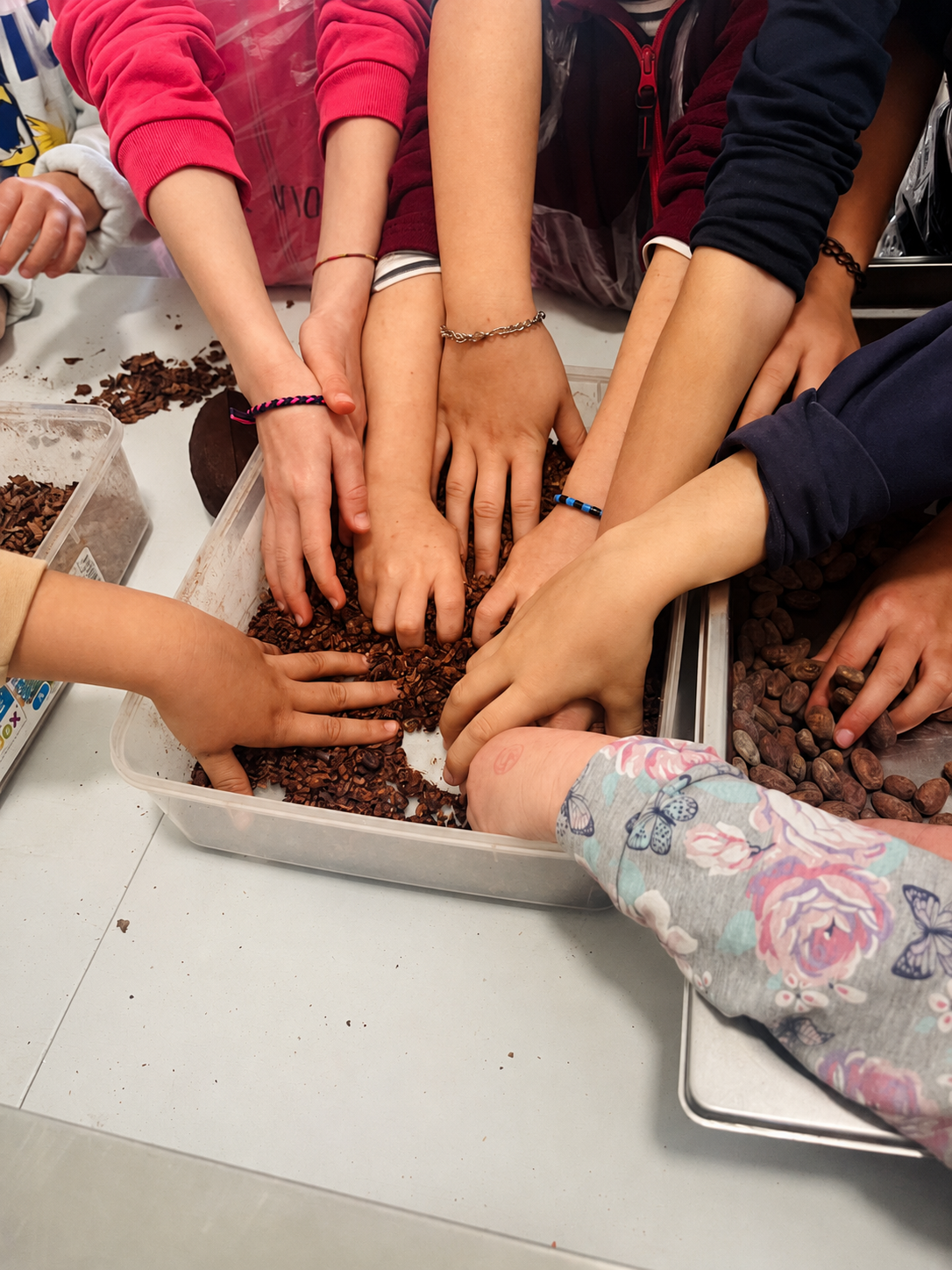 Bambini che esplorano fave e granella di cacao con le mani