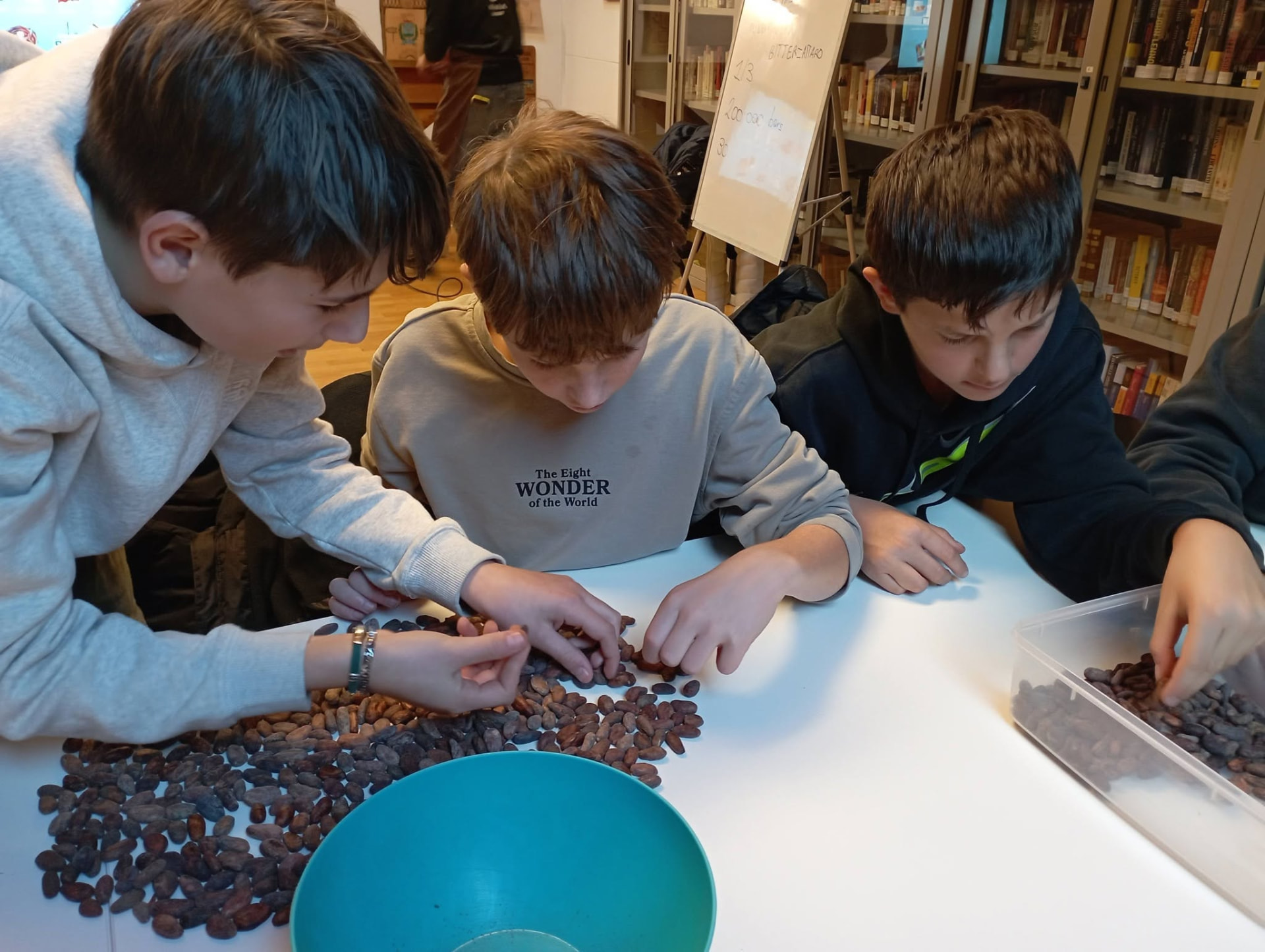Ragazzi che selezionano le fave di cacao al tavolo